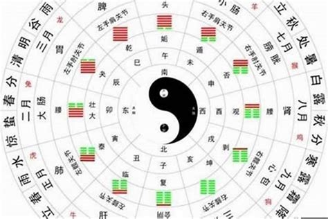 天羅地網格局|八字神煞解析——天羅地網